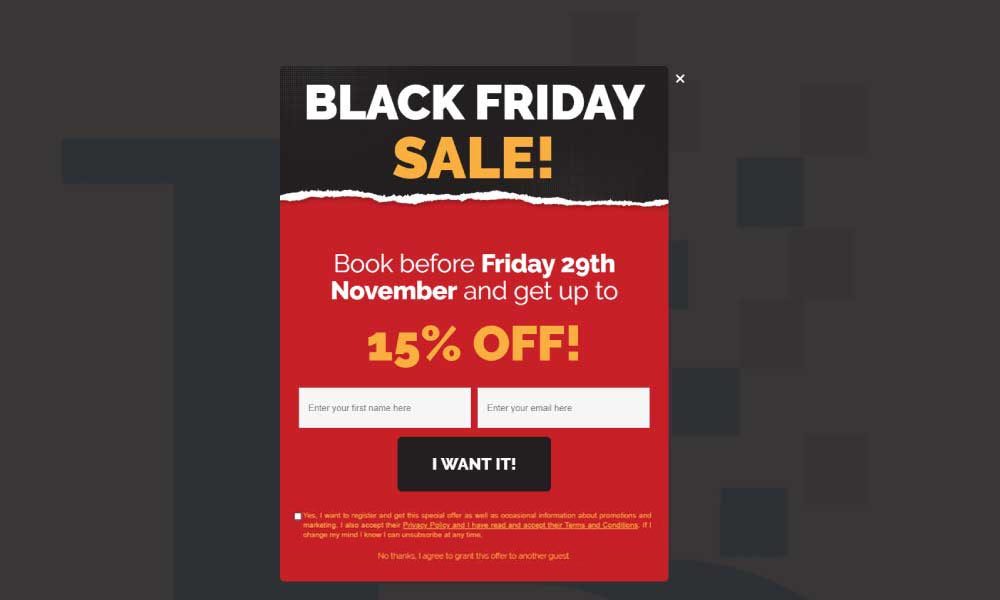 Black Friday Promotion